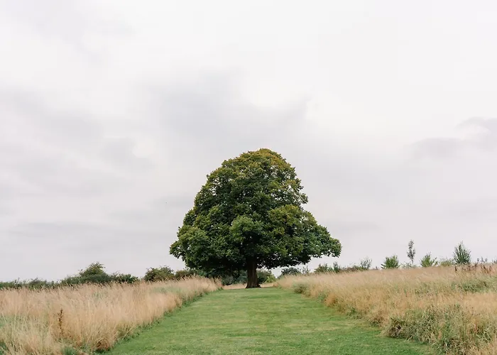 La Ferme D'auwez - Horizon - 6 Pers Avec Sauna Et Piscine Partagés *